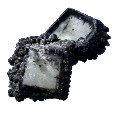 Dhwani Black Lab Diamond